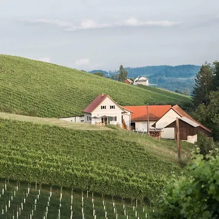 Schwalbennest Pongratz Casa vacanze