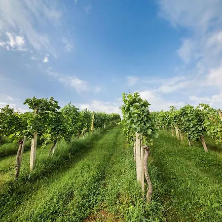 Casa vacanze Schwalbennest Pongratz *