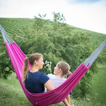 Schwalbennest Pongratz