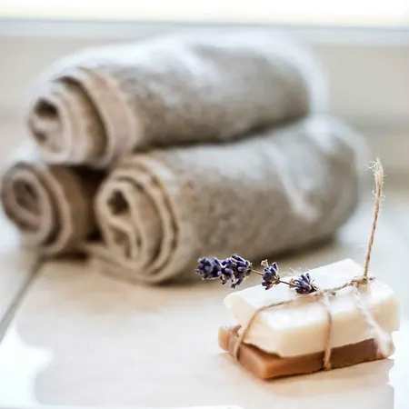 Schwalbennest Pongratz *