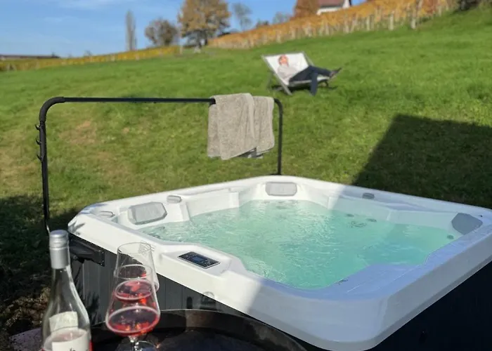 Schwalbennest Pongratz * 甘利特茨