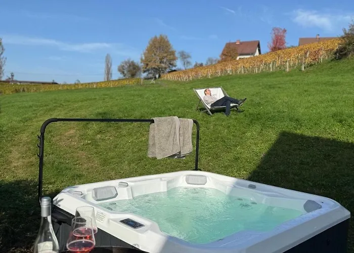 Schwalbennest Pongratz *