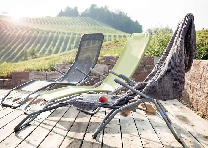 Schwalbennest Pongratz 度假居