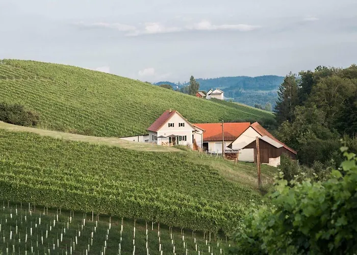 Schwalbennest Pongratz 度假居