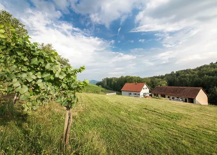 Schwalbennest Pongratz 度假居 *