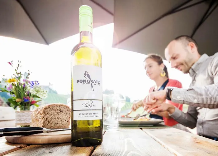 Schwalbennest Pongratz * 甘利特茨