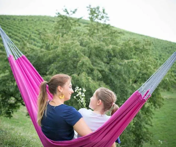 Schwalbennest Pongratz