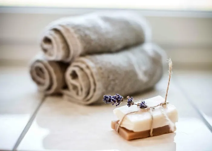 Schwalbennest Pongratz *